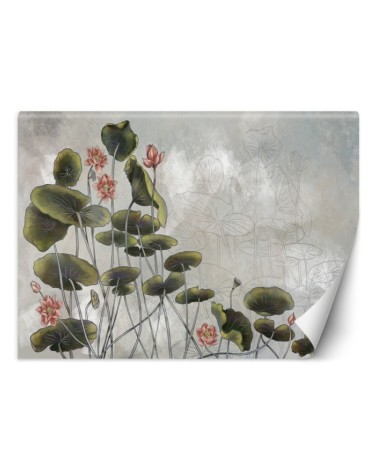 Exclusive wall murals - Water lily | FEEBY