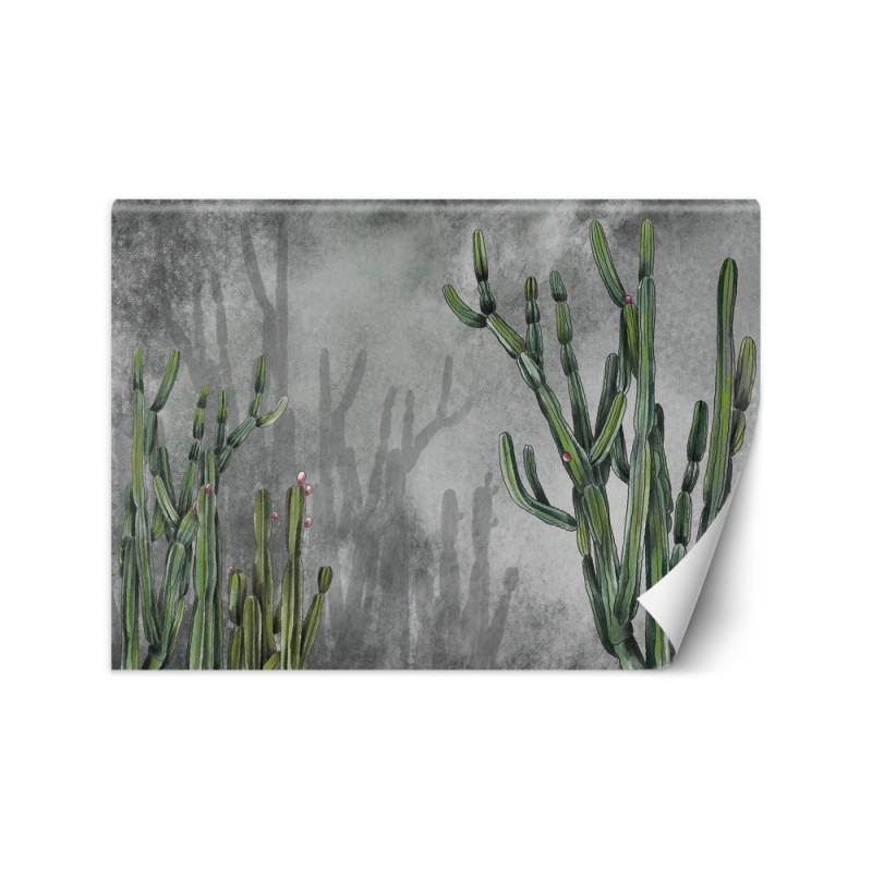 Oryginalne fototapety - Kaktus rośliny pustynia | FEEBY