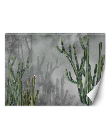 Original wall murals - Cactus plants desert | FEEBY