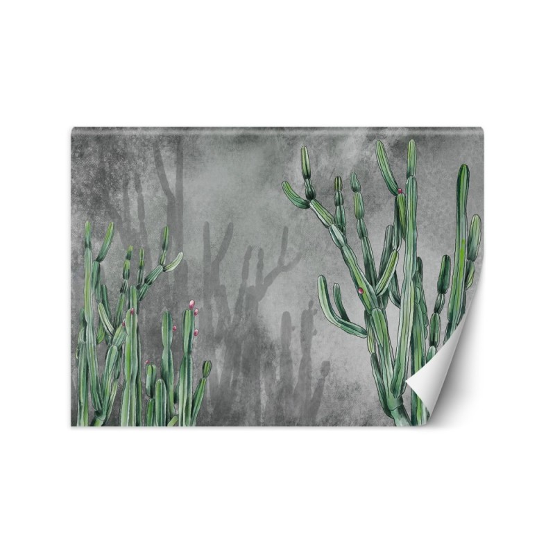 Oryginalne fototapety - Kaktus rośliny pustynia | FEEBY