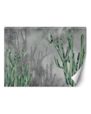 Original wall murals - Cactus plants desert | FEEBY