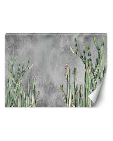 Original wall murals - Cactus plants desert | FEEBY