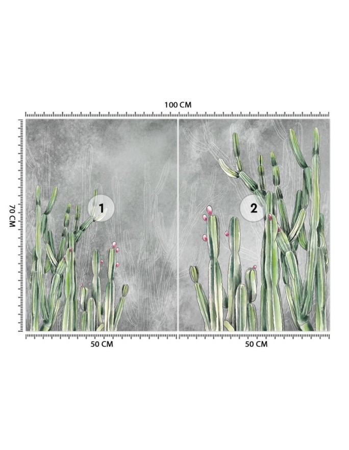 Original wall murals - Cactus plants desert | FEEBY