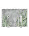 Oryginalne fototapety - Kaktus rośliny pustynia | FEEBY