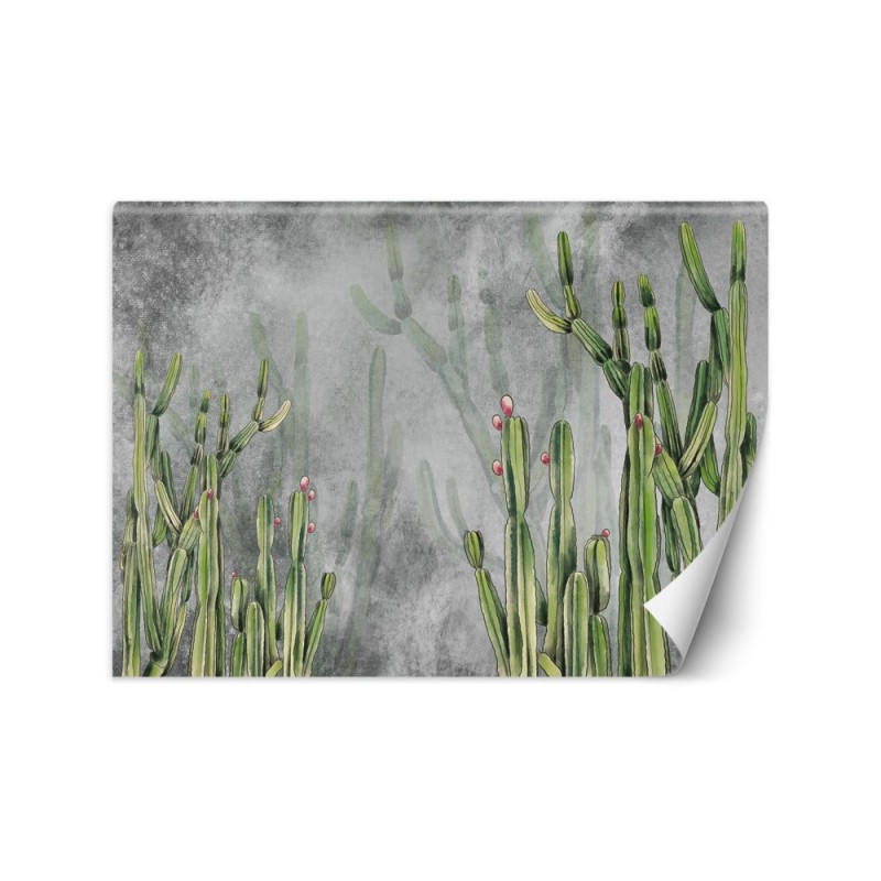 Oryginalne fototapety - Kaktus rośliny pustynia | FEEBY