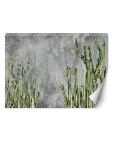 Original wall murals - Cactus plants desert | FEEBY