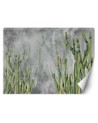 Oryginalne fototapety - Kaktus rośliny pustynia | FEEBY