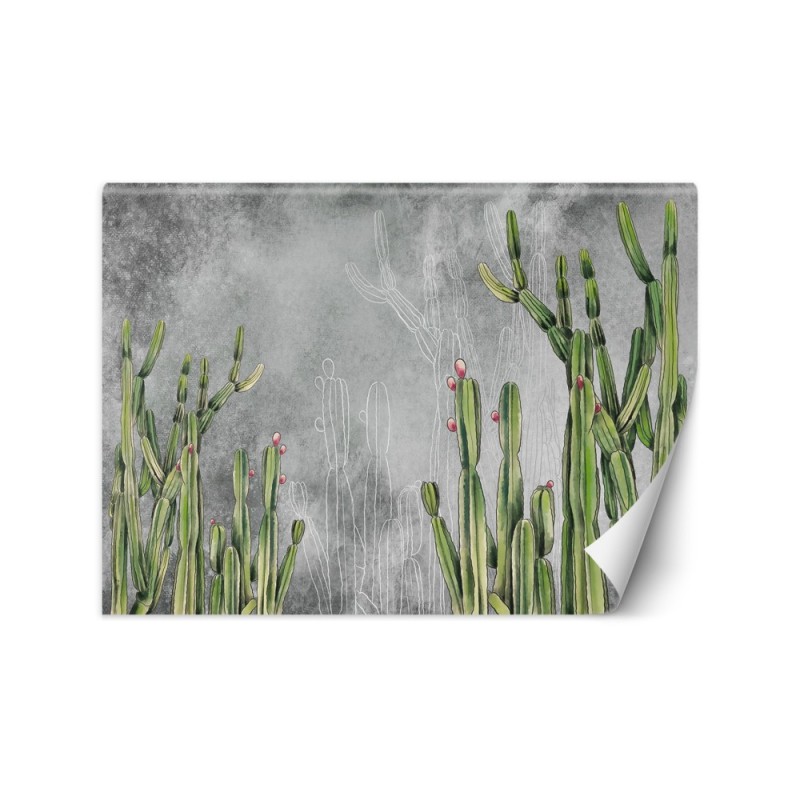 Oryginalne fototapety - Kaktus rośliny pustynia | FEEBY
