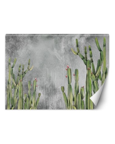 Original wall murals - Cactus plants desert | FEEBY