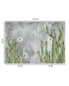 Oryginalne fototapety - Kaktus rośliny pustynia | FEEBY