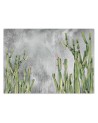 Original wall murals - Cactus plants desert | FEEBY