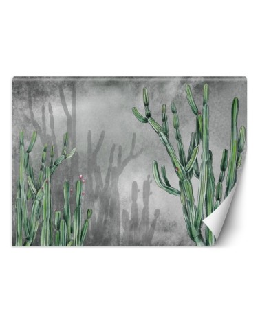Trendy wall murals - Large cactus desert plants | FEEBY