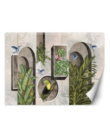 Wallpaper - Shapes in wall with plants and birds toucan hummingbird | FEEBY