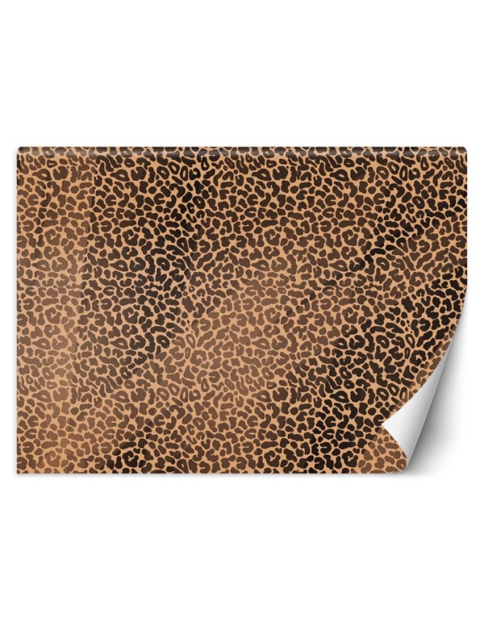 Fototapeta tekstura - Pantera leopard futro plamy wzór | FEEBY