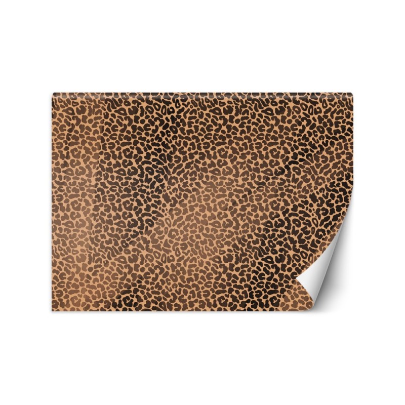 Fototapeta tekstura - Pantera leopard futro plamy wzór | FEEBY