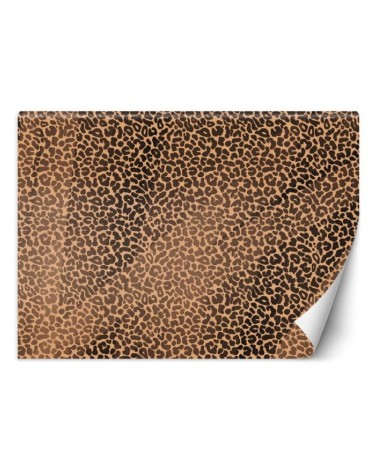 Fototapeta tekstura - Pantera leopard futro plamy wzór | FEEBY