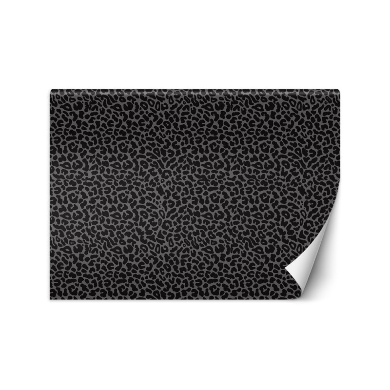 Oryginalne fototapety - Pantera leopard tekstura wzór | FEEBY