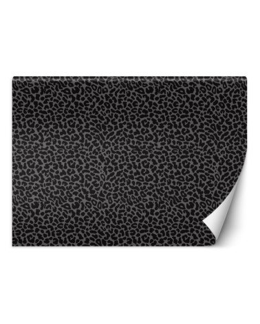 Oryginalne fototapety - Pantera leopard tekstura wzór | FEEBY