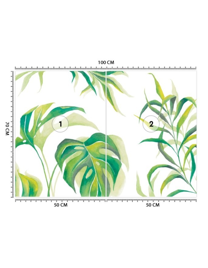 Egzotyczne fototapety na ścianę - Liście Monstera | FEEBY