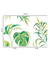 Egzotyczne fototapety na ścianę - Liście Monstera | FEEBY
