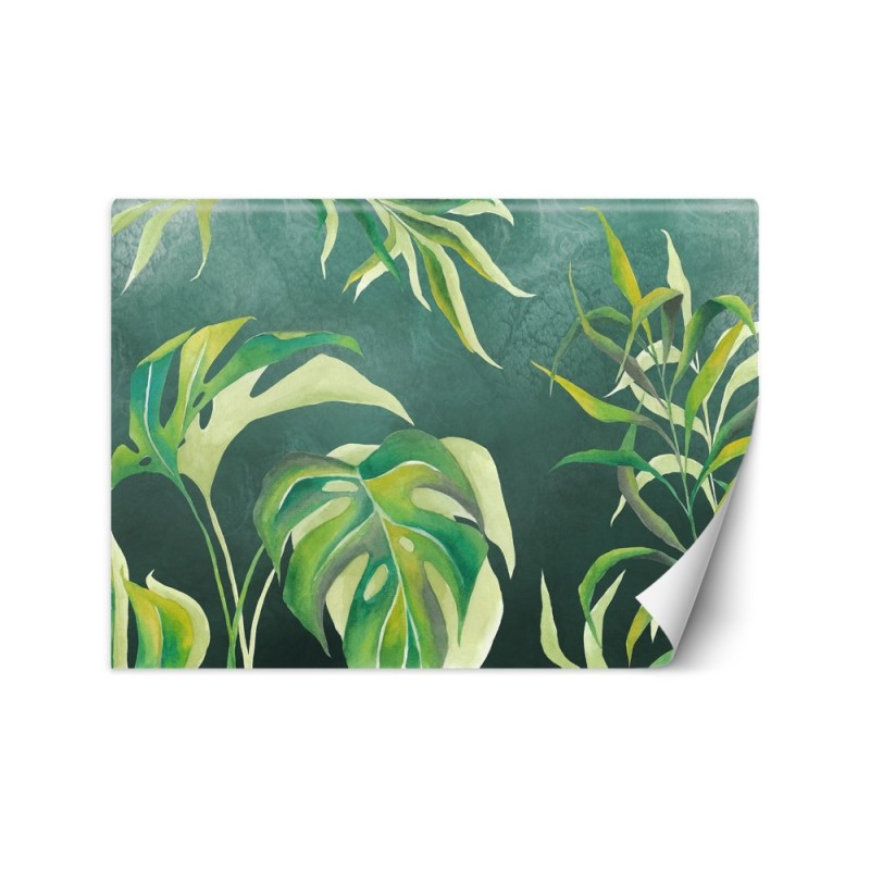 Egzotyczne fototapety na ścianę - Liście Monstera | FEEBY