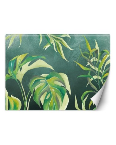 Egzotyczne fototapety na ścianę - Liście Monstera | FEEBY