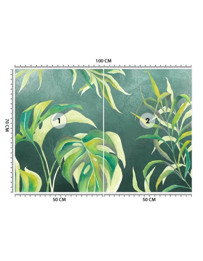 Egzotyczne fototapety na ścianę - Liście Monstera | FEEBY