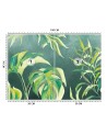 Egzotyczne fototapety na ścianę - Liście Monstera | FEEBY