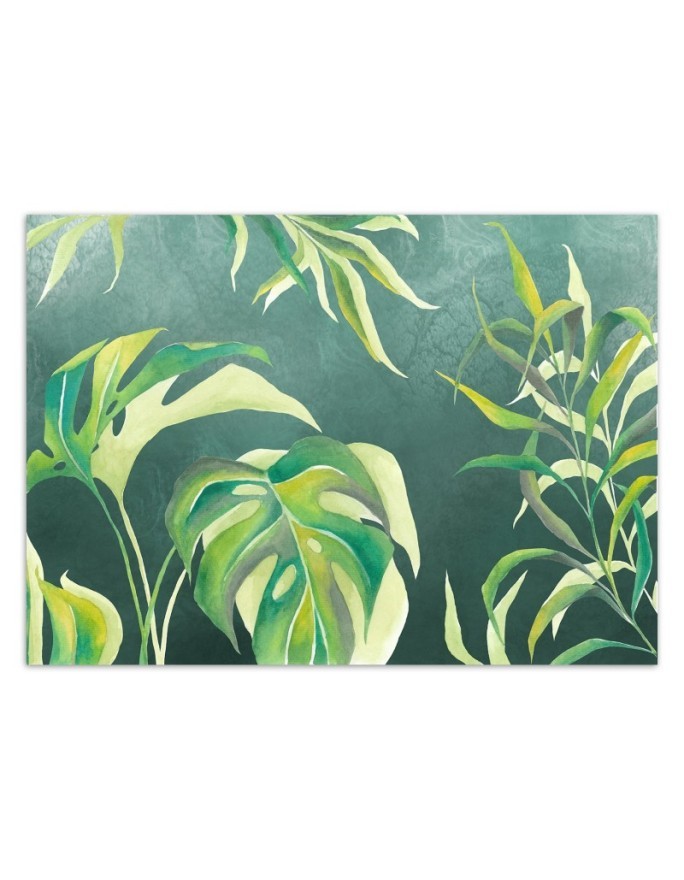 Egzotyczne fototapety na ścianę - Liście Monstera | FEEBY