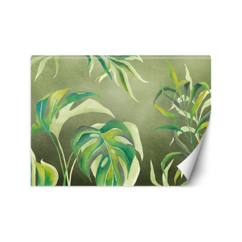 Egzotyczne fototapety na ścianę - Liście Monstera | FEEBY