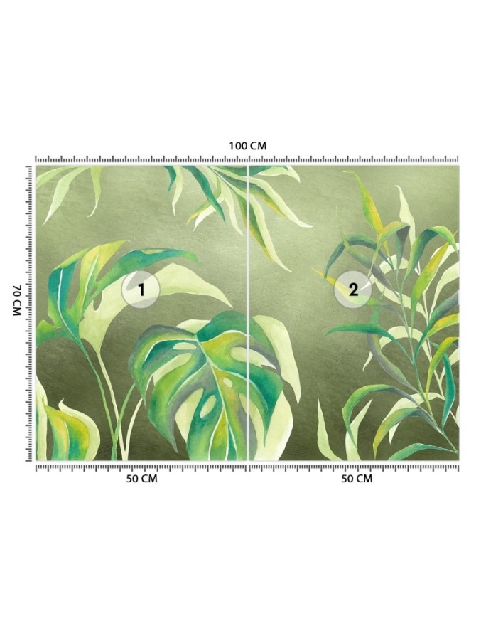 Egzotyczne fototapety na ścianę - Liście Monstera | FEEBY