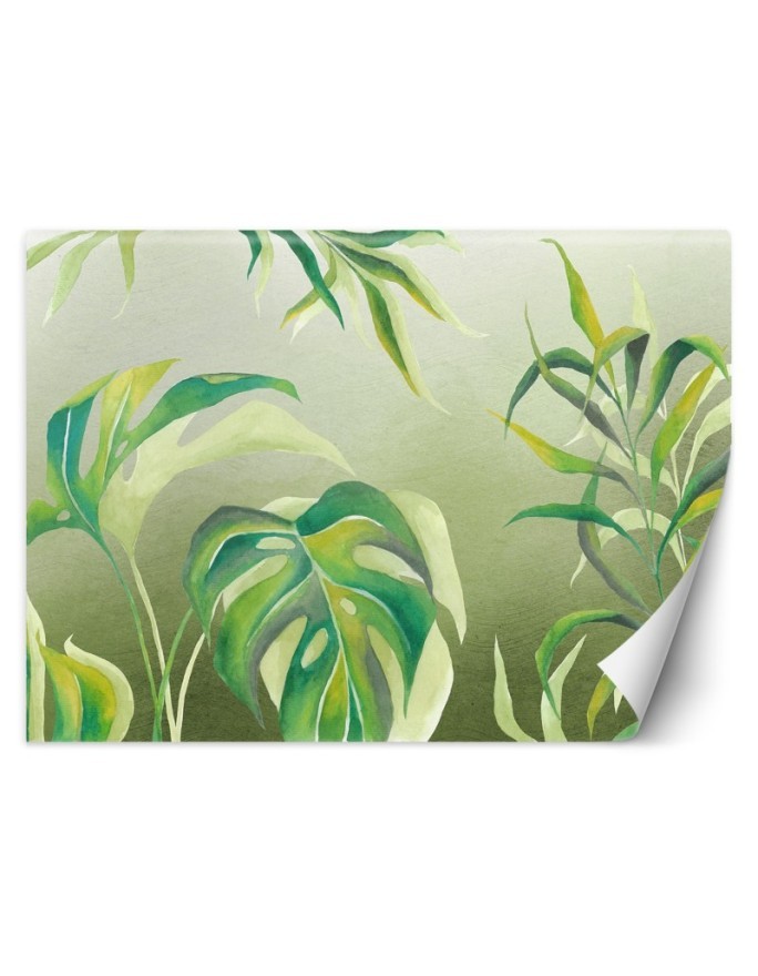 Egzotyczne fototapety na ścianę - Liście Monstera | FEEBY