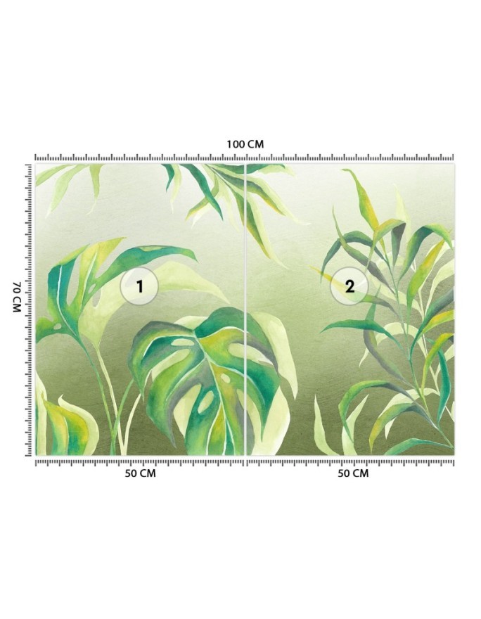 Egzotyczne fototapety na ścianę - Liście Monstera | FEEBY