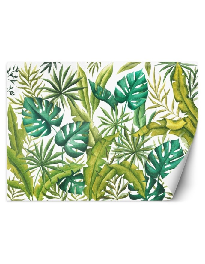 Egzotyczne fototapety na ścianę - Liście Monstera | FEEBY