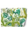 Egzotyczne fototapety na ścianę - Liście Monstera | FEEBY