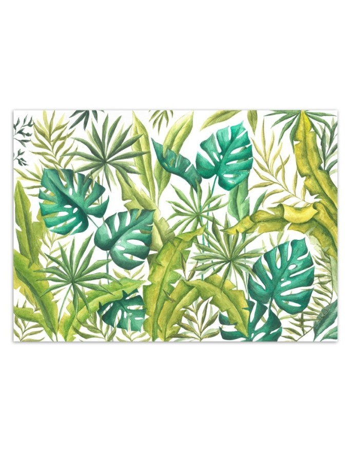 Egzotyczne fototapety na ścianę - Liście Monstera | FEEBY