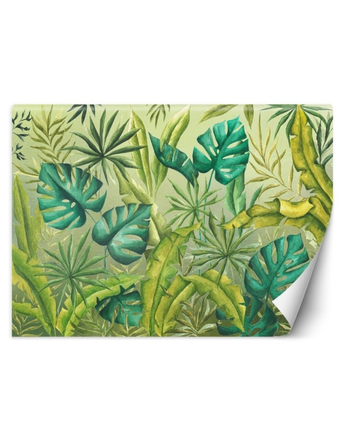 Egzotyczne fototapety na ścianę - Liście Monstera | FEEBY
