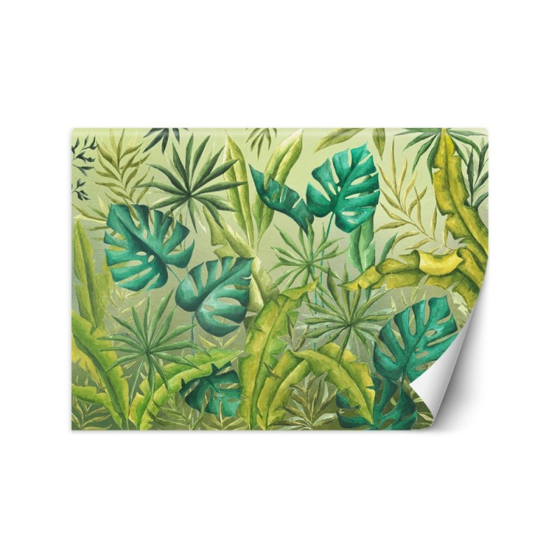 Egzotyczne fototapety na ścianę - Liście Monstera | FEEBY