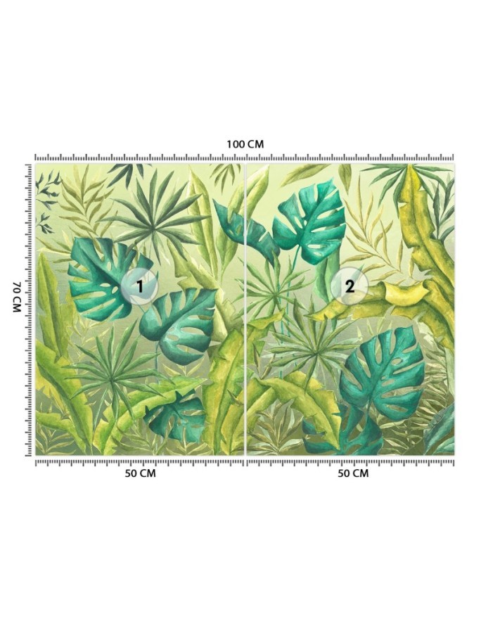 Egzotyczne fototapety na ścianę - Liście Monstera | FEEBY