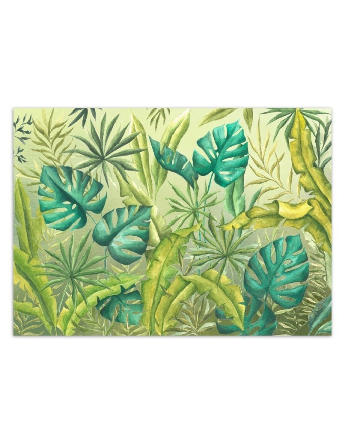 Egzotyczne fototapety na ścianę - Liście Monstera | FEEBY