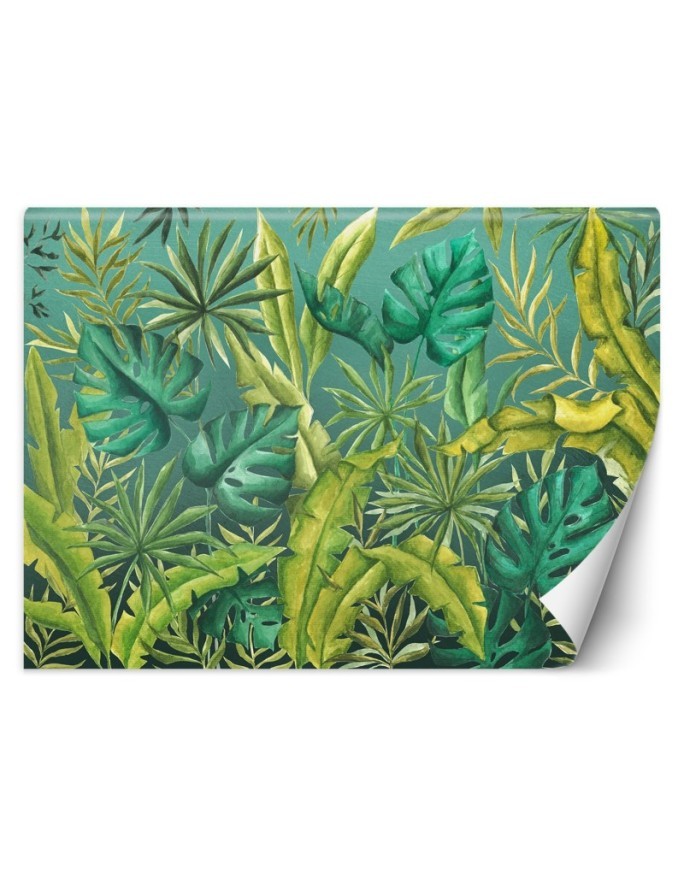 Egzotyczne fototapety na ścianę - Liście Monstera | FEEBY