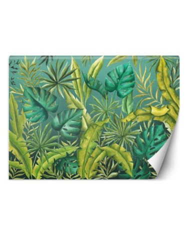Egzotyczne fototapety na ścianę - Liście Monstera | FEEBY