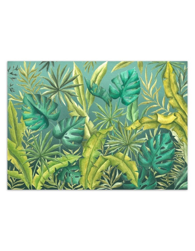 Egzotyczne fototapety na ścianę - Liście Monstera | FEEBY