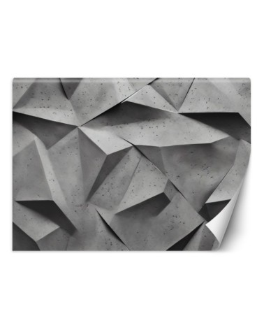 Photo wallpaper for bedroom - Abstract gray shapes 3D | FEEBY
