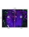 Fototapeta na ścianę - Robot dla gracza symbole | FEEBY