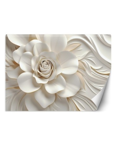 Bedroom wall mural - White rose 3D | FEEBY