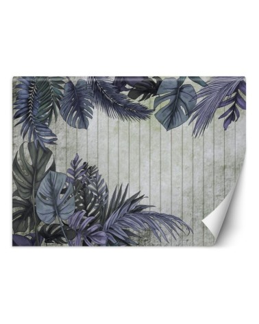 Wall mural - Purple monstera leaves vintage | FEEBY