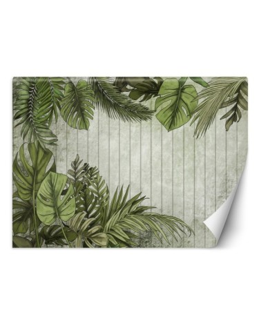 Wall mural - Tropical palm leaves on a board background | FEEBY
