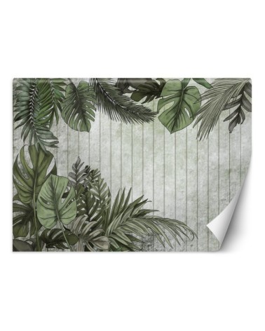 Wall mural - Exotic monstera leaves on a planked background | FEEBY