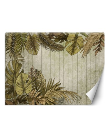 Living room wallpaper - Tropical leaves on a plank background | FEEBY